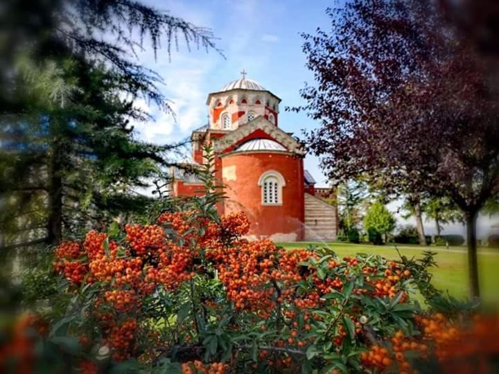 Kuca Za Odmor Zicanka Kraljevo Dış mekan fotoğraf