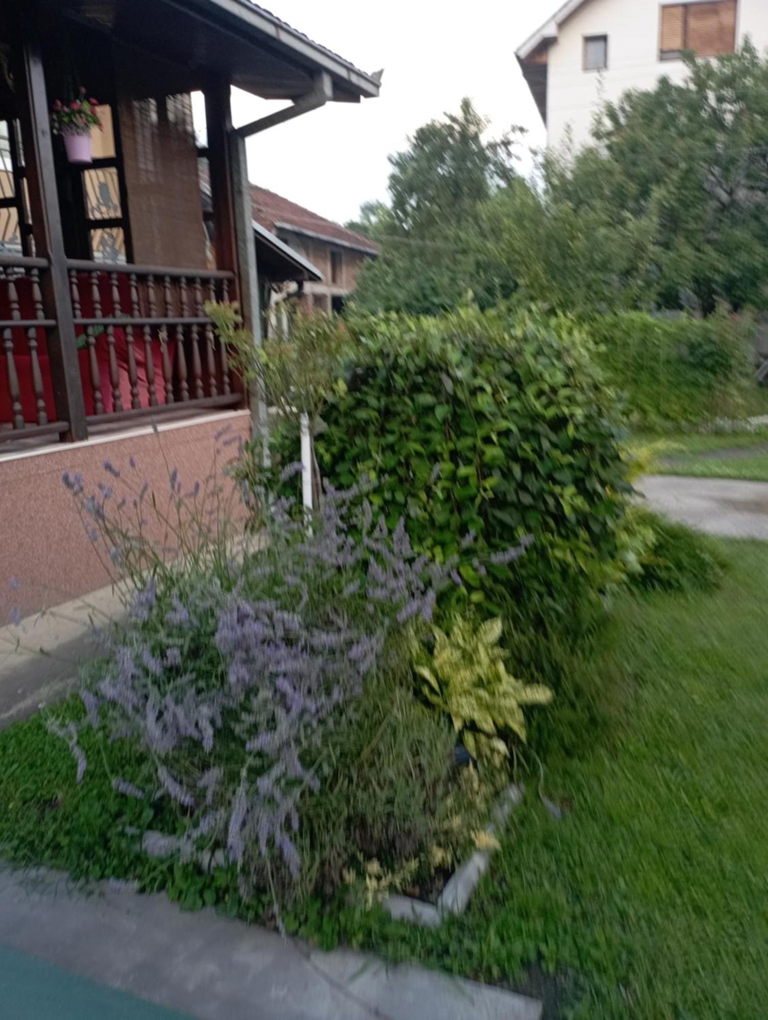 Kuca Za Odmor Zicanka Kraljevo Dış mekan fotoğraf