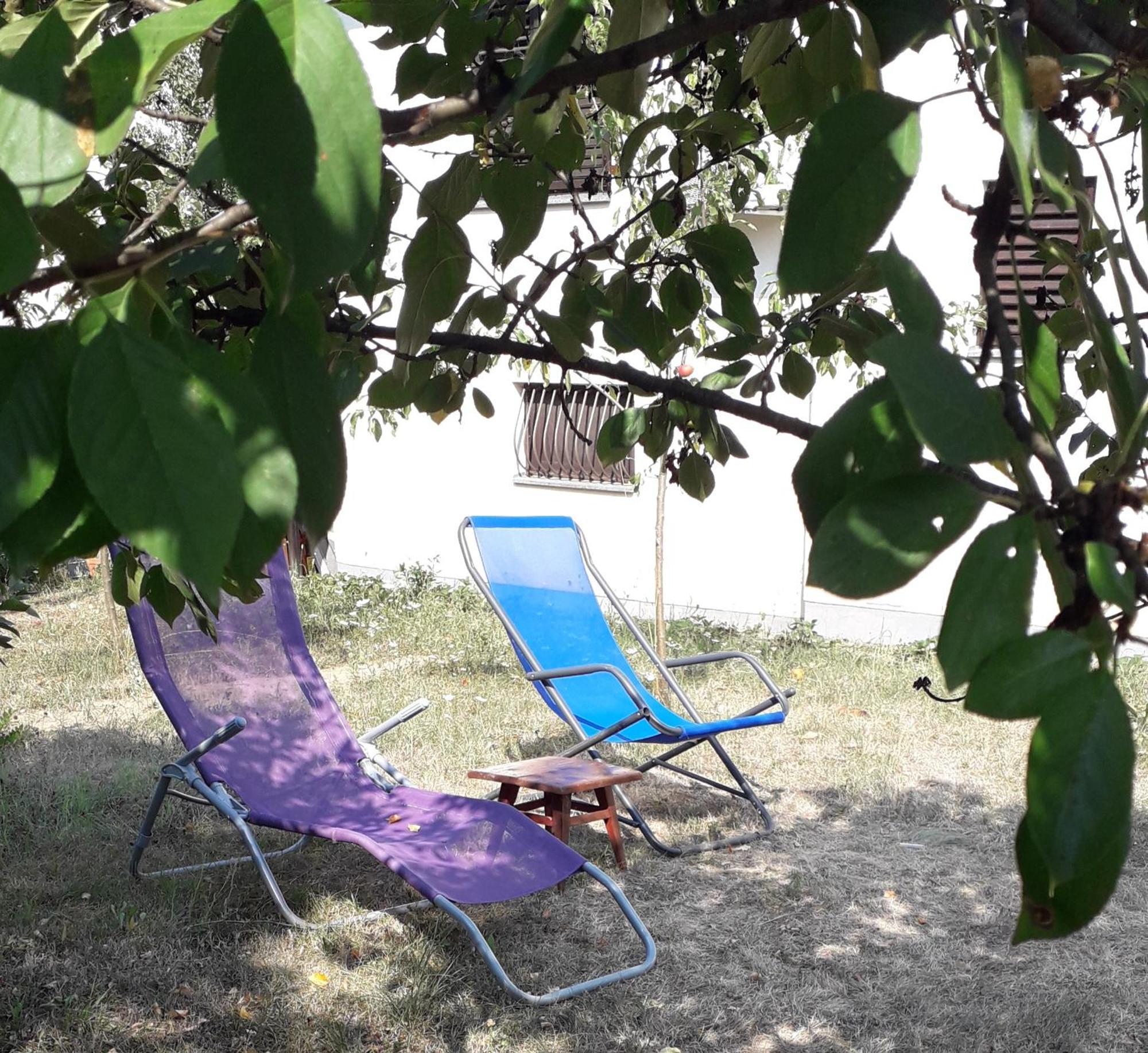 Kuca Za Odmor Zicanka Kraljevo Dış mekan fotoğraf