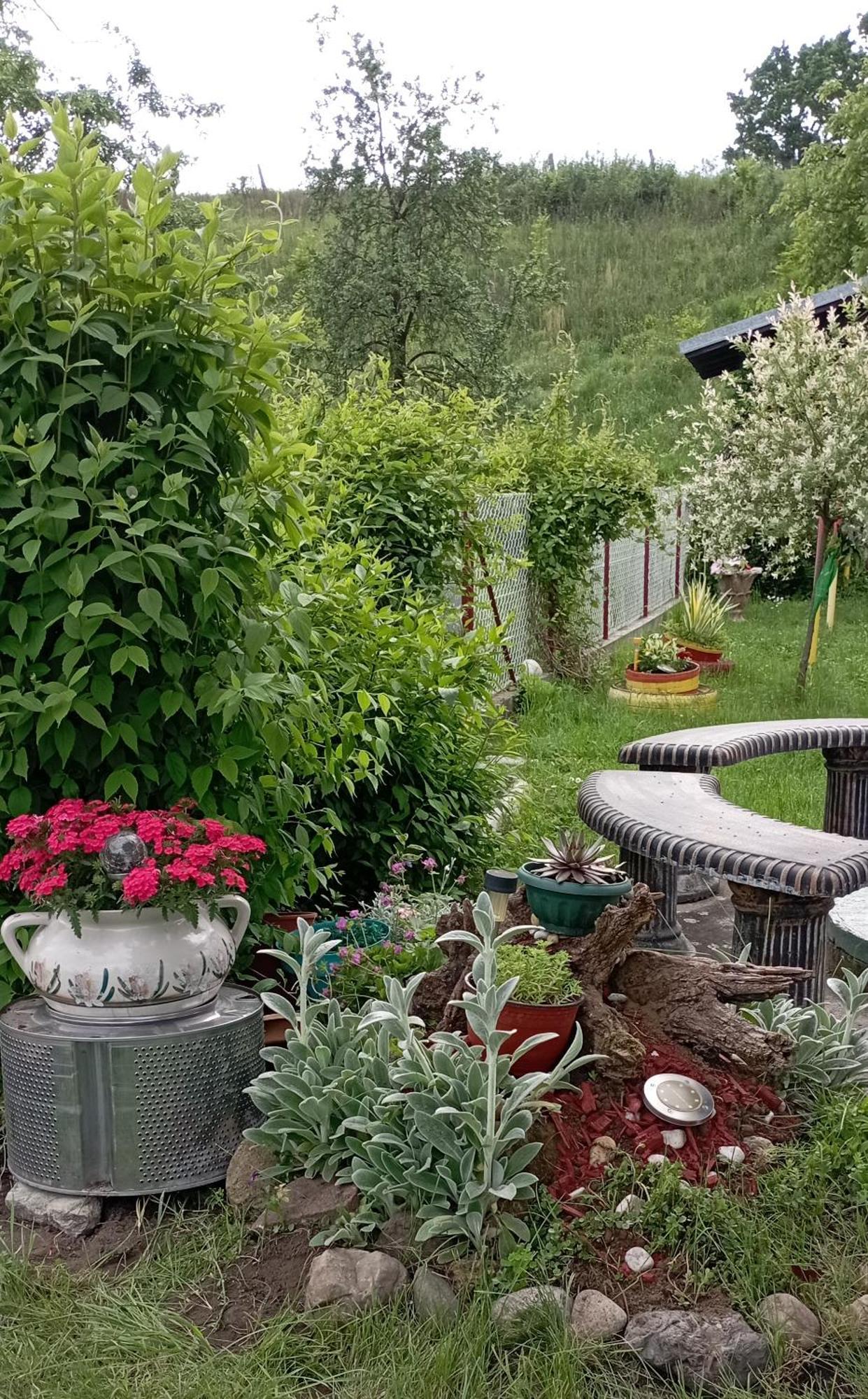 Kuca Za Odmor Zicanka Kraljevo Dış mekan fotoğraf