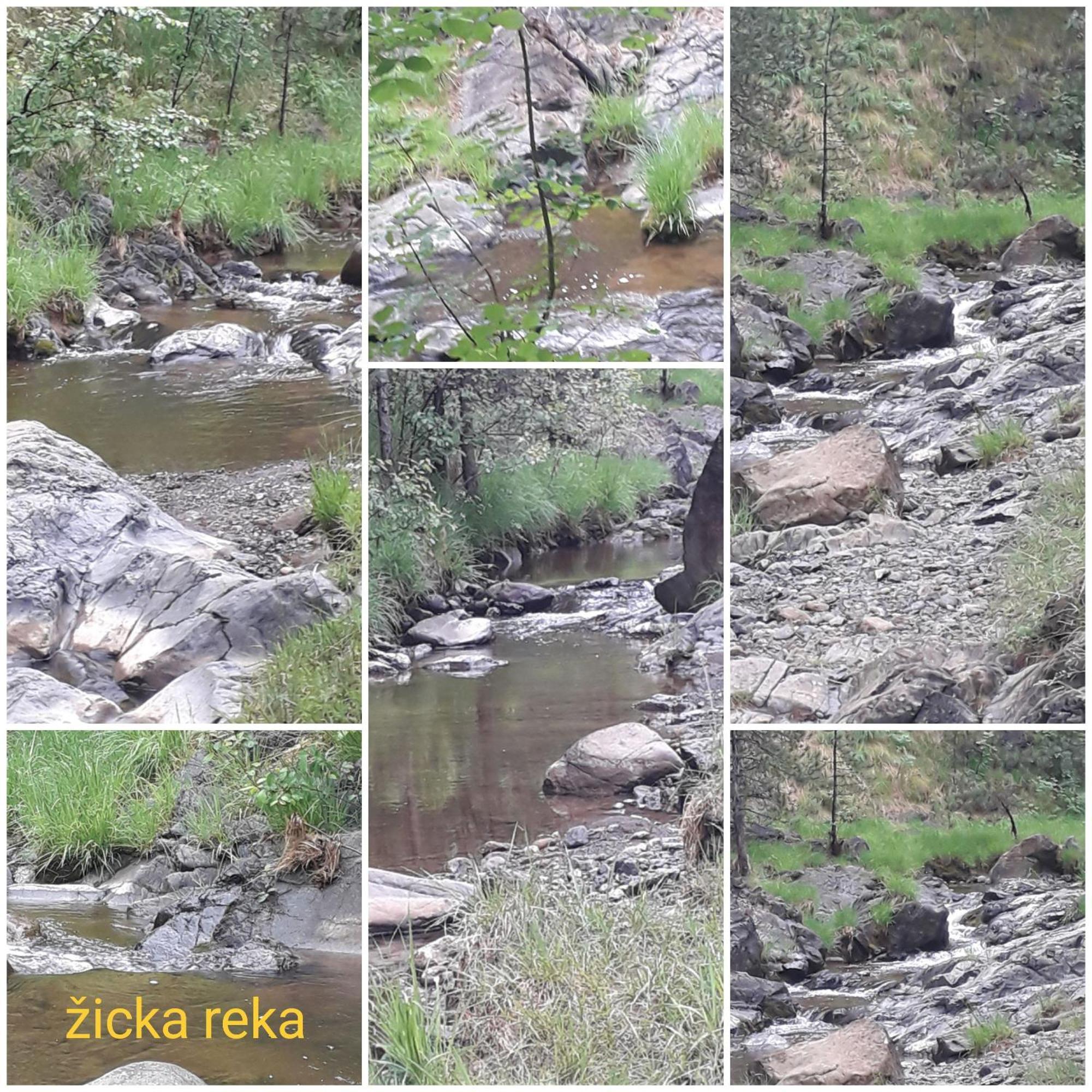 Kuca Za Odmor Zicanka Kraljevo Dış mekan fotoğraf